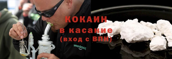 сатива Богородицк