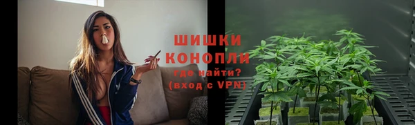 дживик Белокуриха