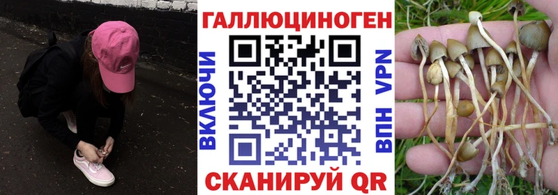 Псилоцибиновые грибы MAGIC MUSHROOMS  где продают наркотики  Воркута 